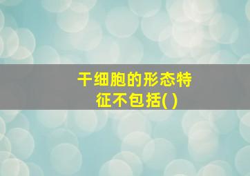 干细胞的形态特征不包括( )